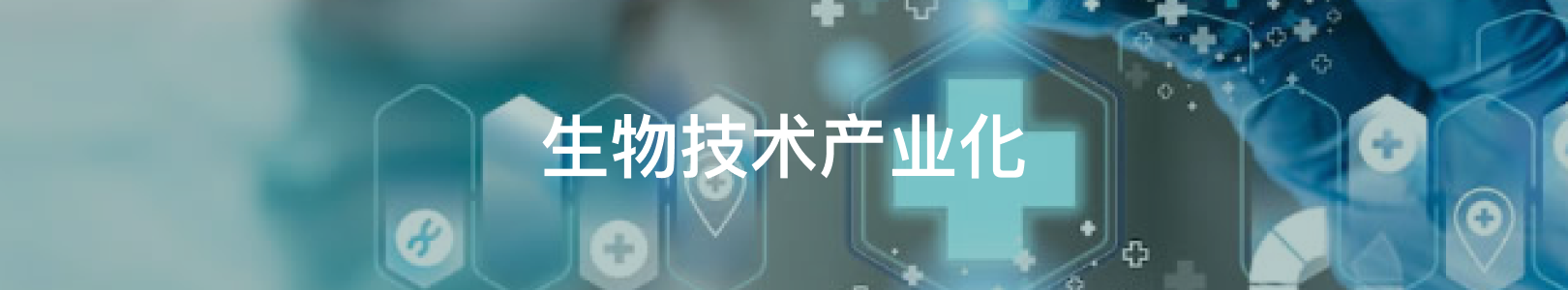 home.invest.partners